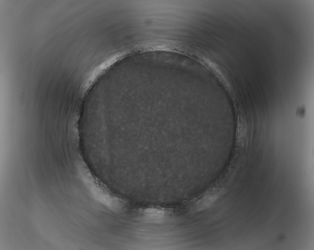 X0000116480394200912231135