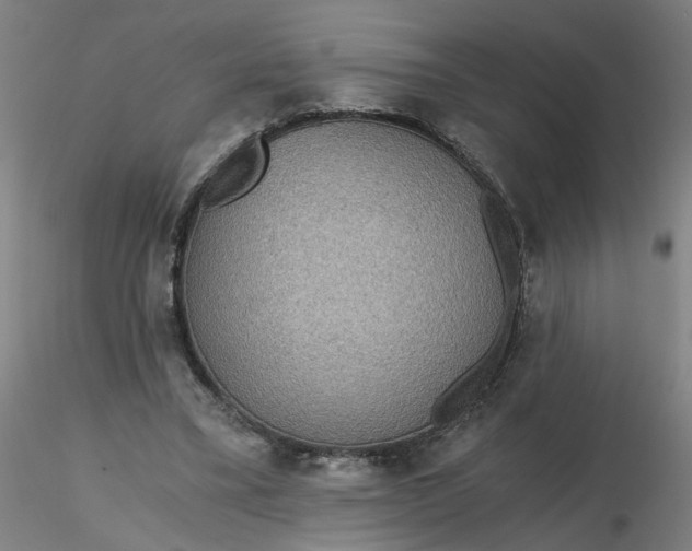 X0000116480395200912231135