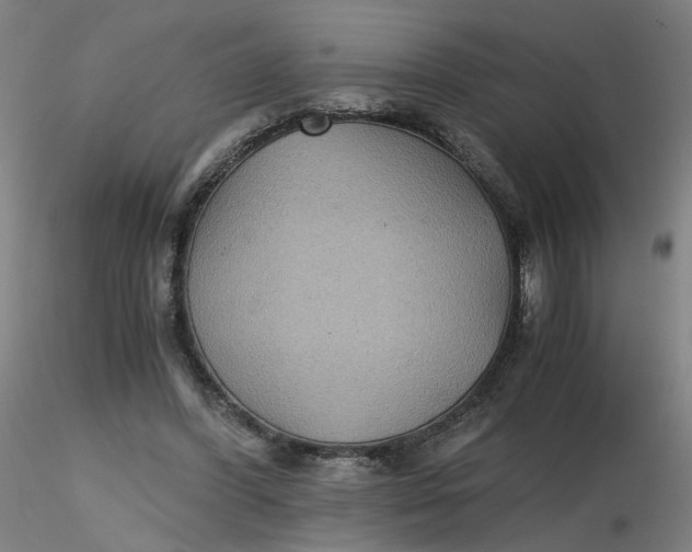 X0000116480396200912231135