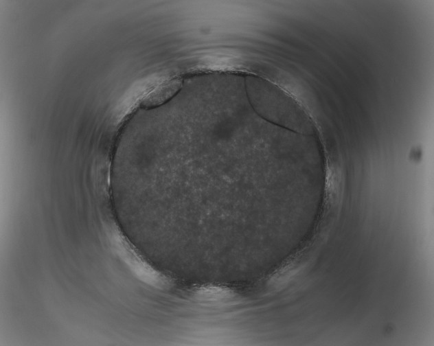 X0000116480397200912231135