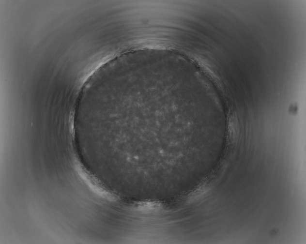 X0000116480398200912231135