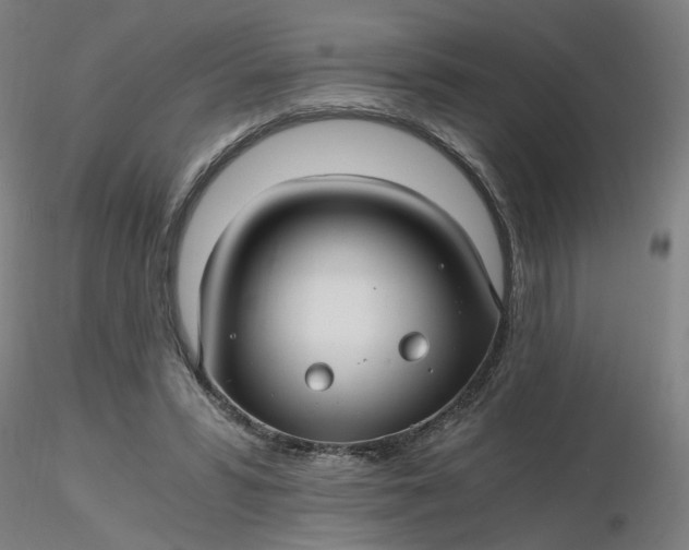 X0000116480399200912231135