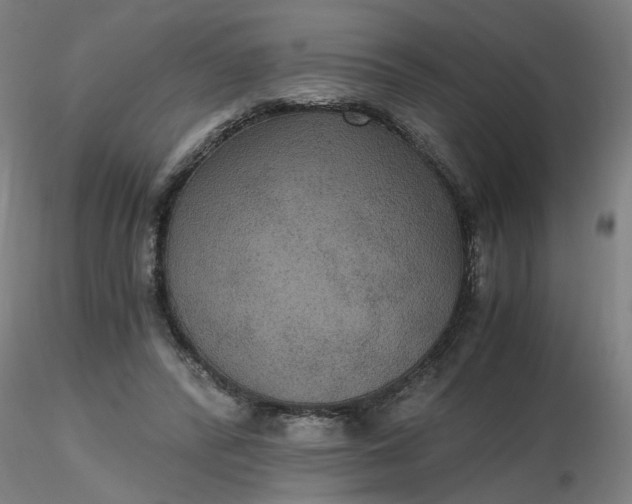 X0000116480400200912231135