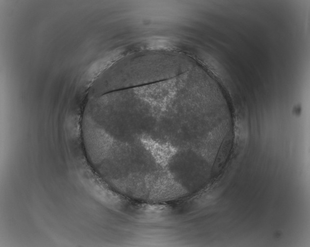 X0000116480401200912231135