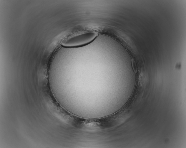 X0000116480407200912231135