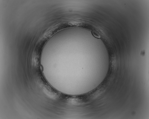 X0000116480408200912231135