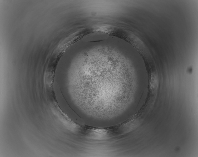 X0000116480409200912231135