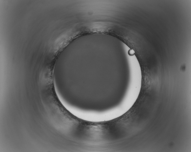 X0000116480411200912231135