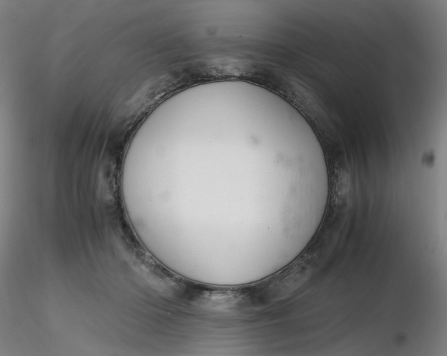 X0000116480414200912231134