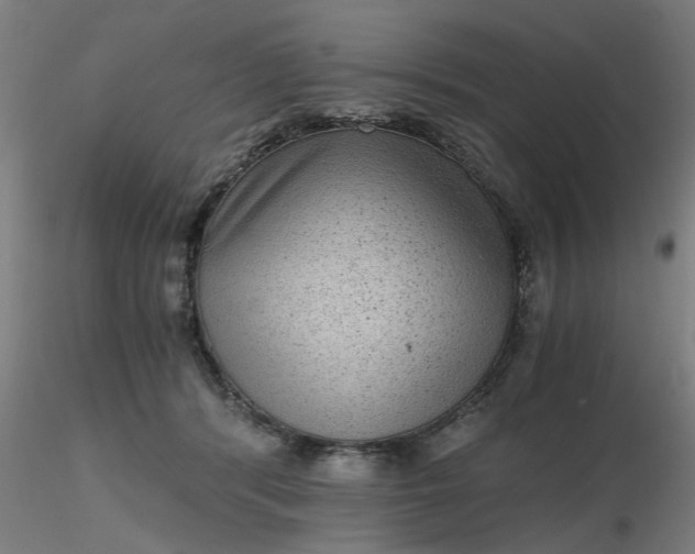 X0000116480416200912231134