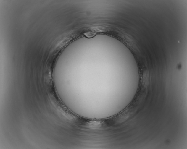 X0000116480418200912231134