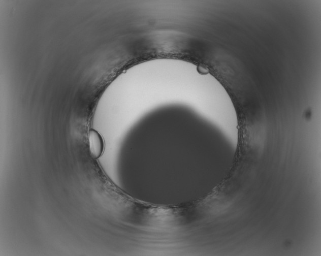 X0000116480419200912231134