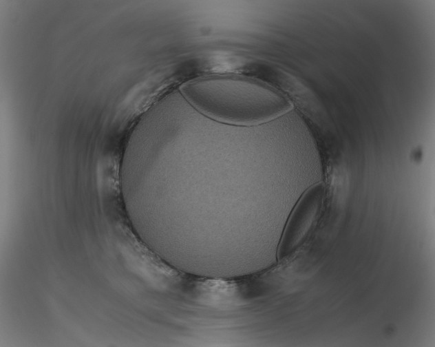 X0000116480421200912231134