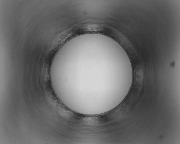 X0000116480422200912231134