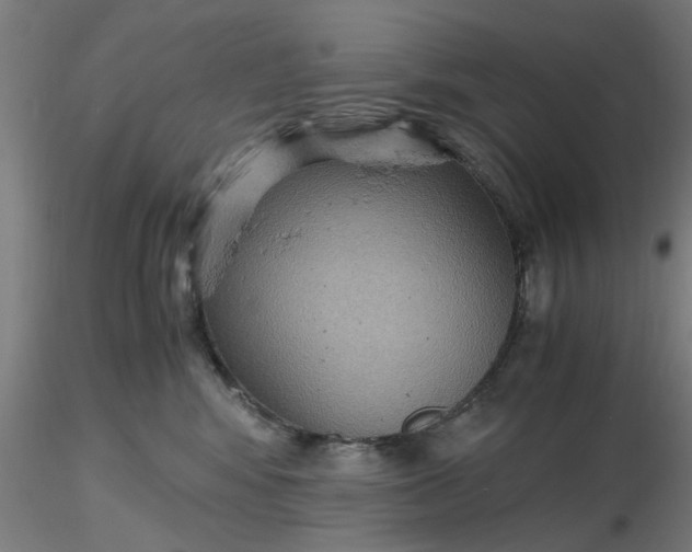 X0000116480424200912231134