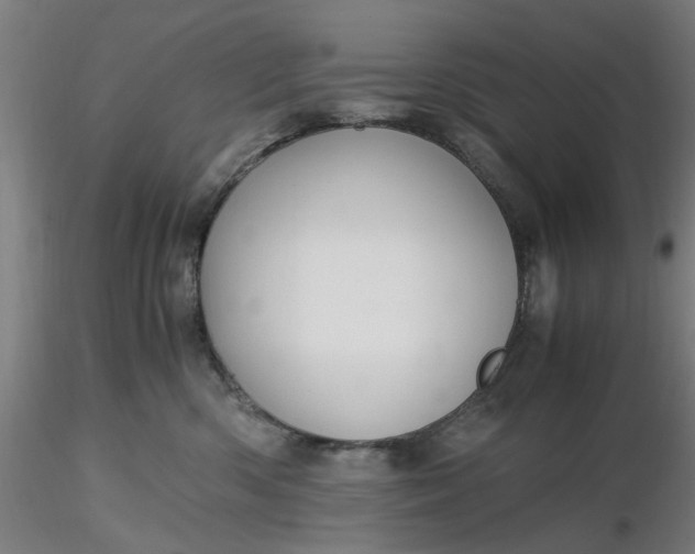 X0000116480426200912231134