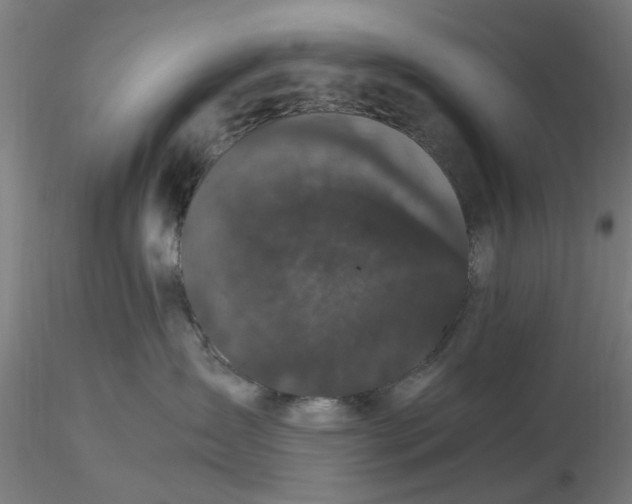 X0000116480431200912231134