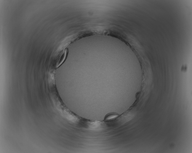 X0000116480432200912231134