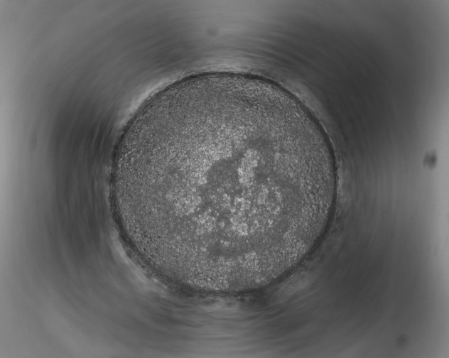 X0000116480434200912231134