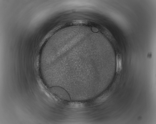 X0000116480435200912231134