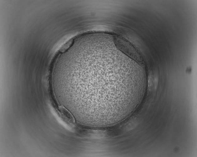 X0000116480436200912231134