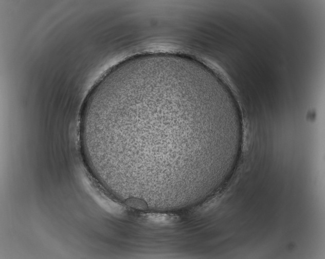 X0000116480439200912231134