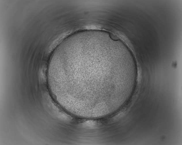 X0000116480441200912231134