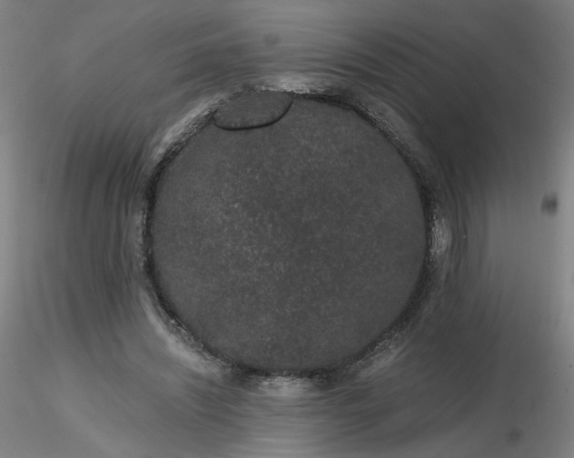 X0000116480444200912231134