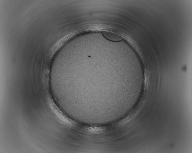 X0000116480445200912231134