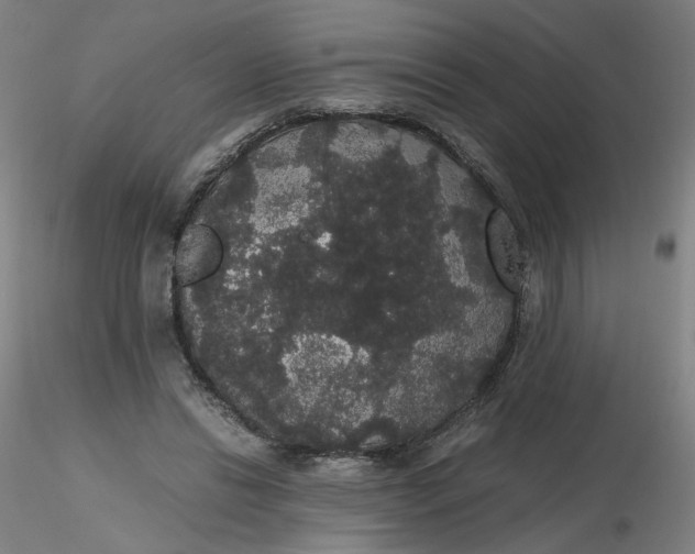 X0000116480446200912231134