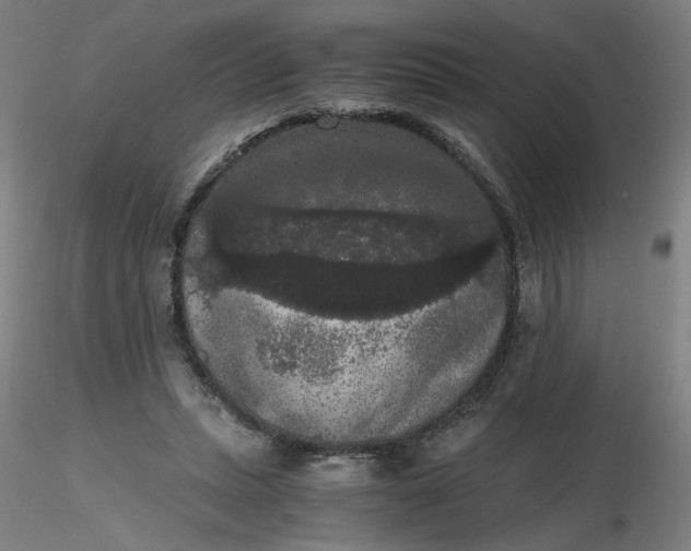 X0000116480447200912231134