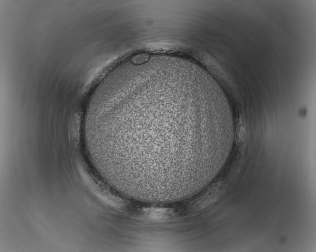 X0000116480448200912231134