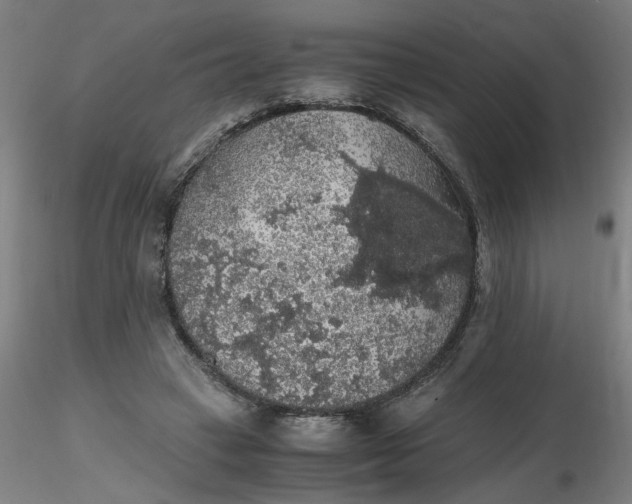 X0000116480449200912231134