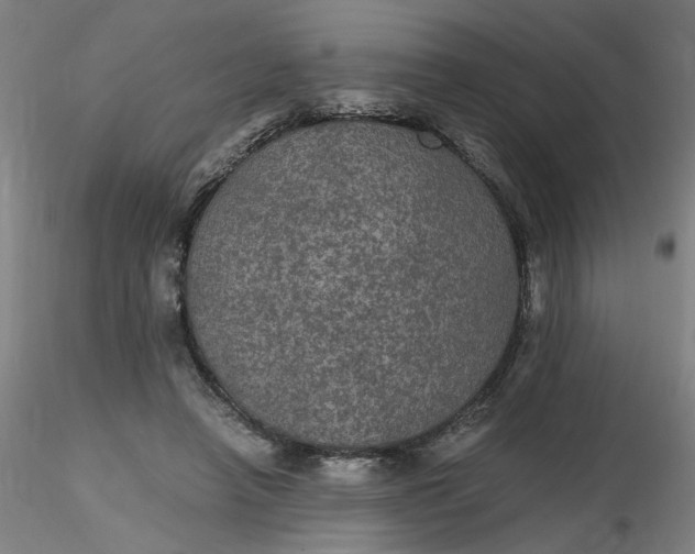 X0000116480450200912231134