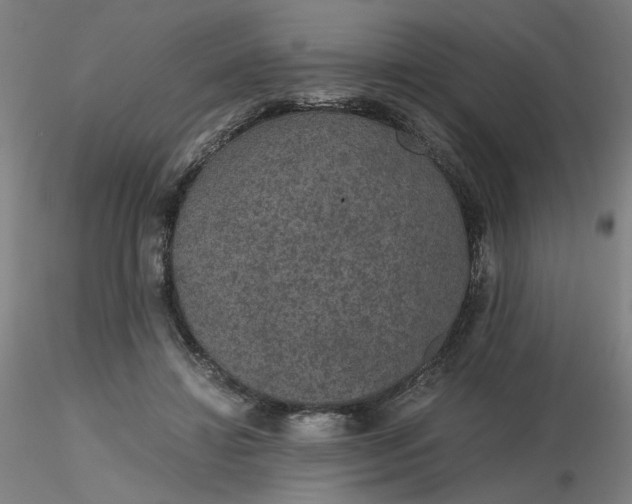 X0000116480452200912231134