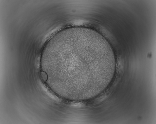 X0000116480454200912231134