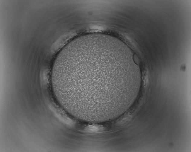 X0000116480455200912231134