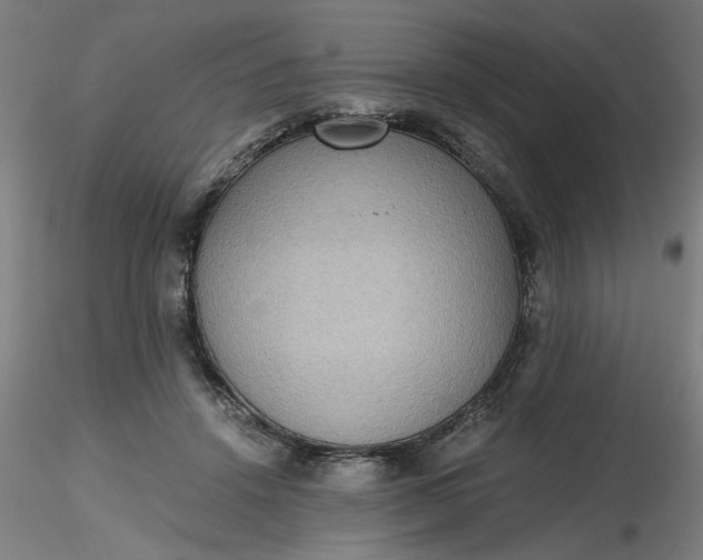 X0000116480456200912231134