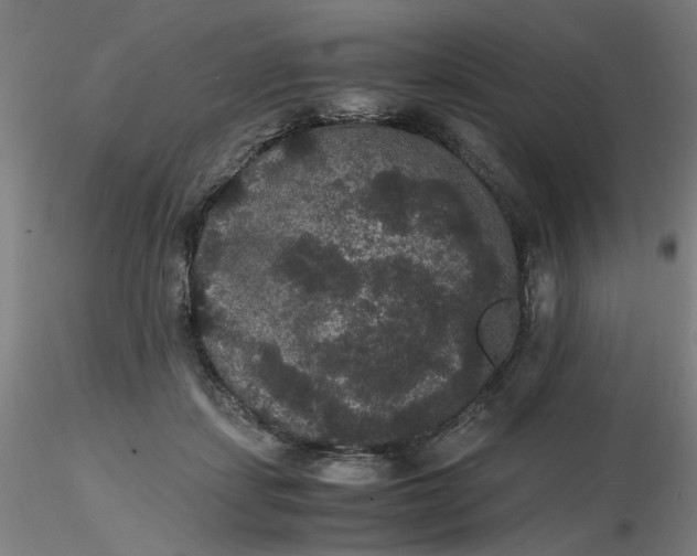 X0000116480459200912231134