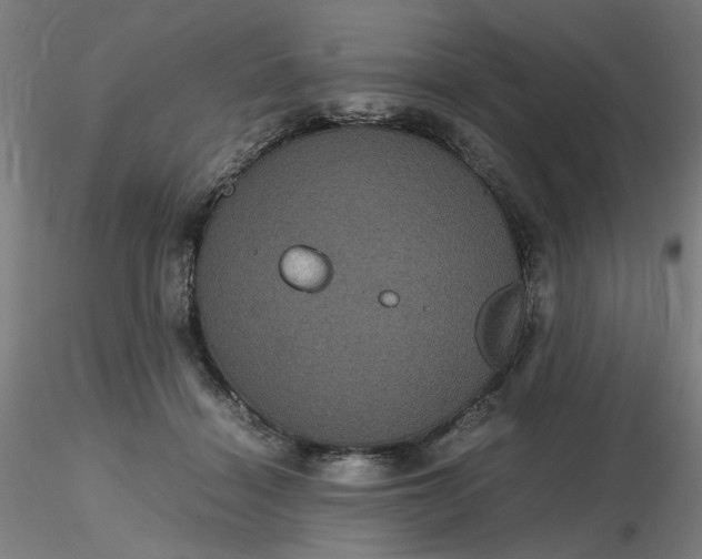 X0000116480460200912231134