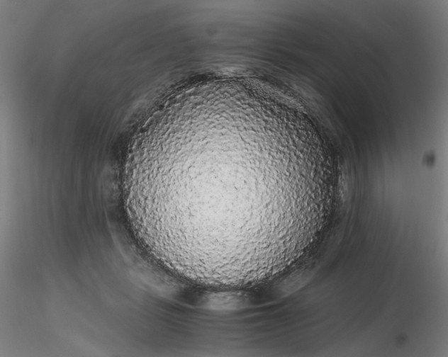 X0000116480461200912231134