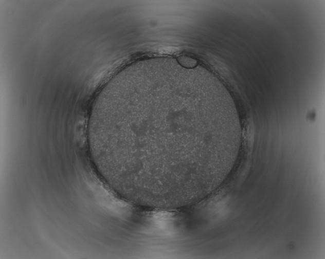 X0000116480462200912231134