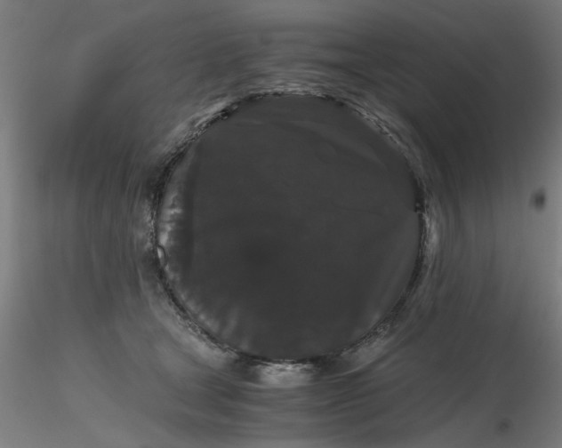 X0000116480465200912231134