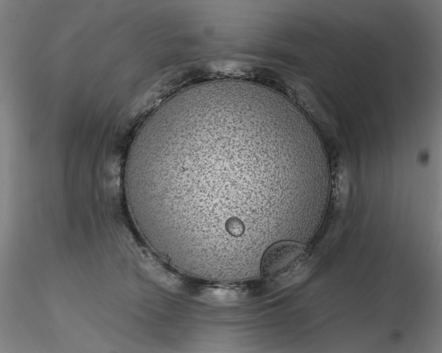 X0000116480466200912231134