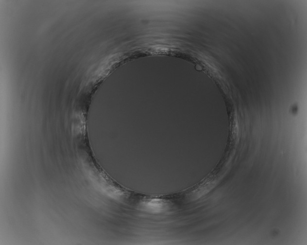 X0000116480467200912231134