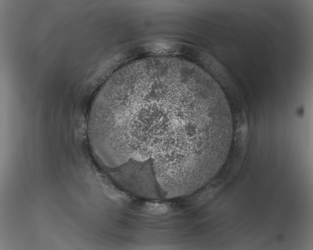 X0000116480469200912231134