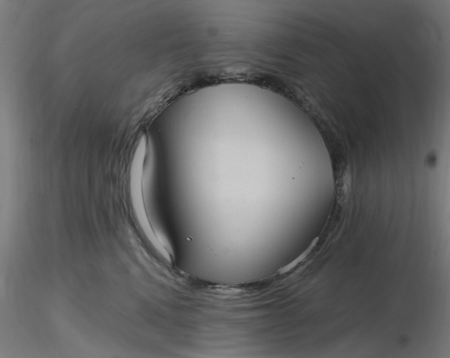 X0000116480472200912231134