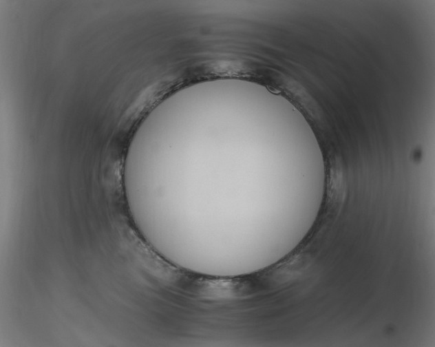 X0000116480473200912231134