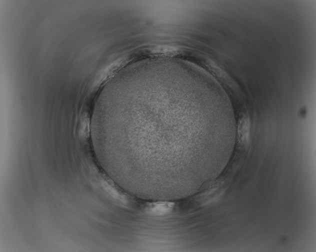 X0000116480474200912231134