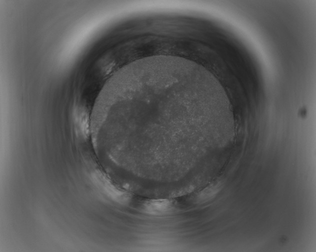 X0000116480479200912231134